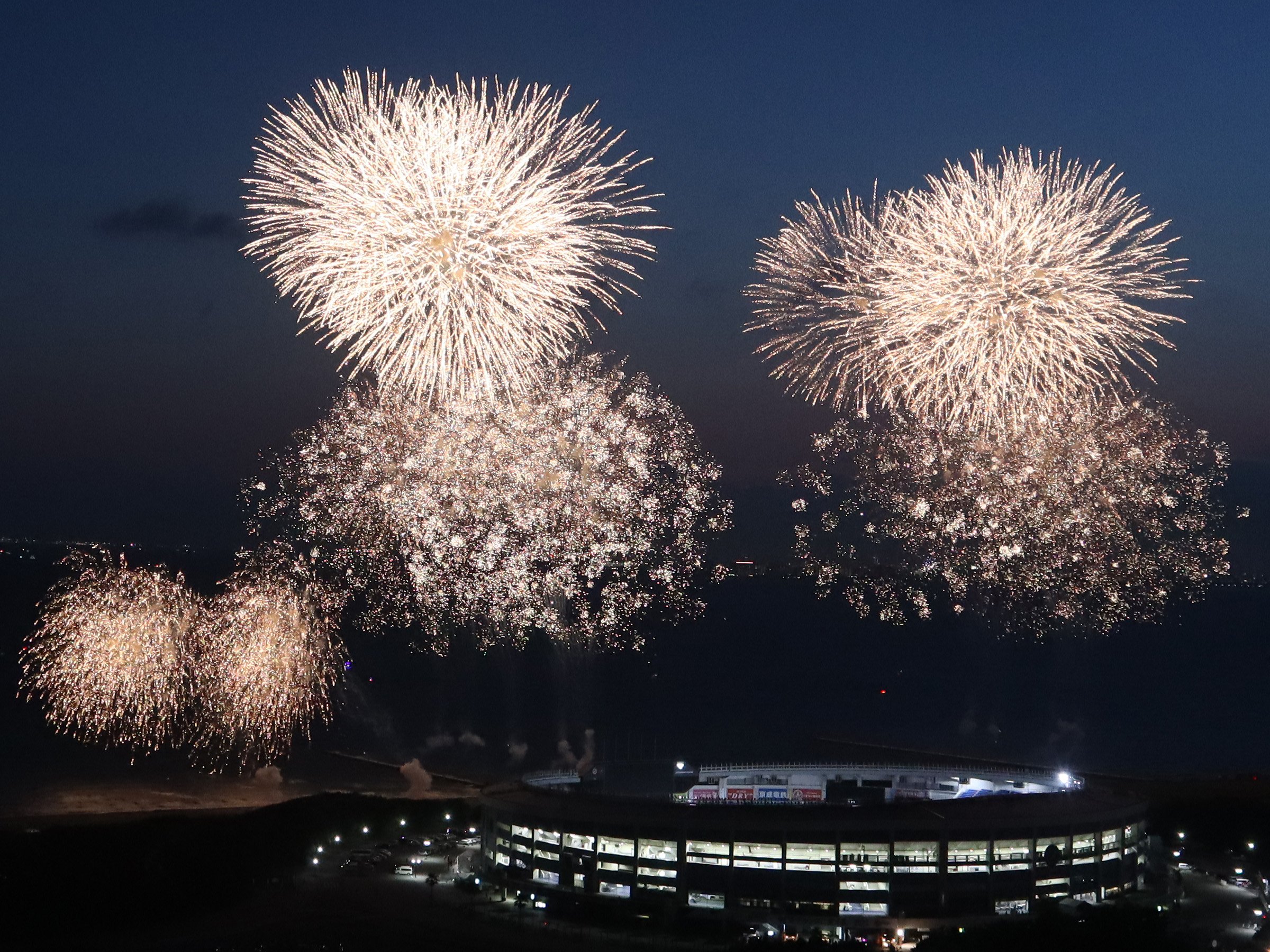 🌳 치바 현립 마쿠하리 해변공원 (치바켄리츠 마쿠하리카이힌코엔) 이미지 7